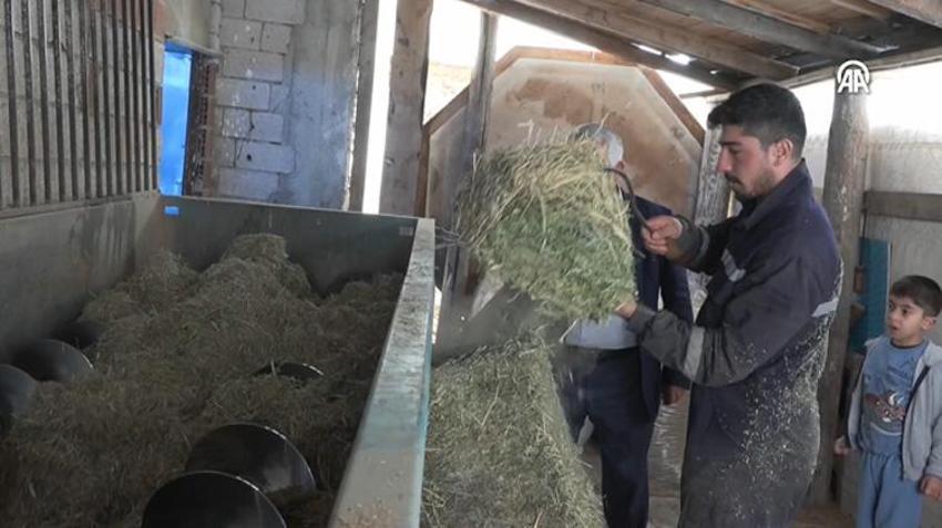 Üniversiteyi bitiren geri döndü: İlkel yöntemleri bıraktılar, yılda 8 milyon lira kazanıyorlar