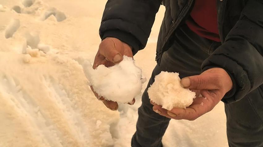 Muş'ta sabah uyananlar gözlerine inanamadı! Bir gecede kahverengiye döndü