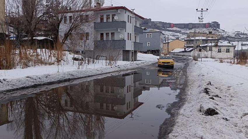 Kars'ta yıllar sonra görüldü: Şubat ayında her şey eridi!