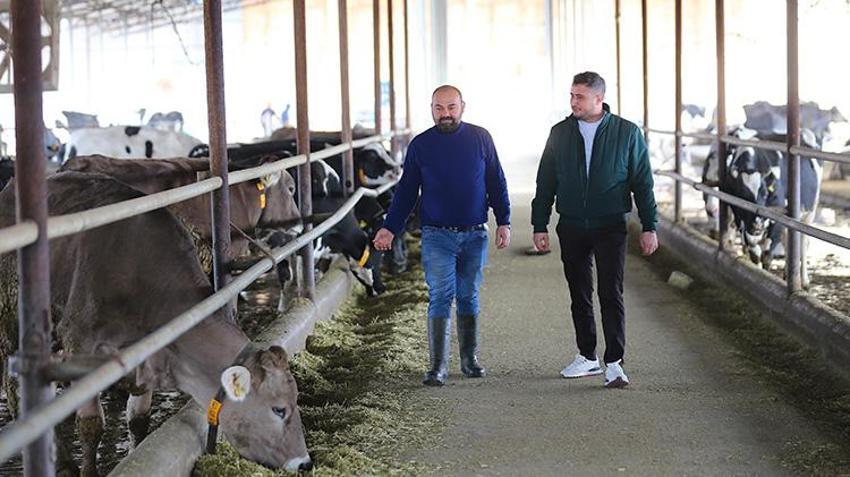 Depremin izleri üretimle siliniyor: Telef olan hayvanların yerine hibeler geldi, süt üretimi başladı