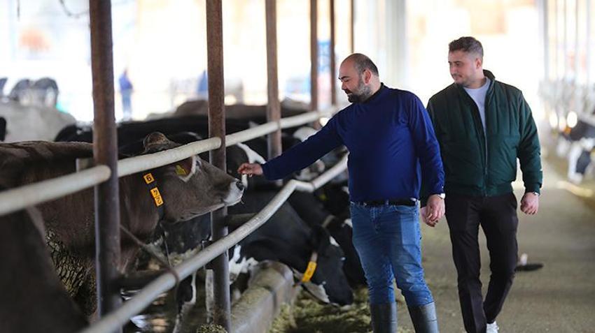 Depremin izleri üretimle siliniyor: Telef olan hayvanların yerine hibeler geldi, süt üretimi başladı