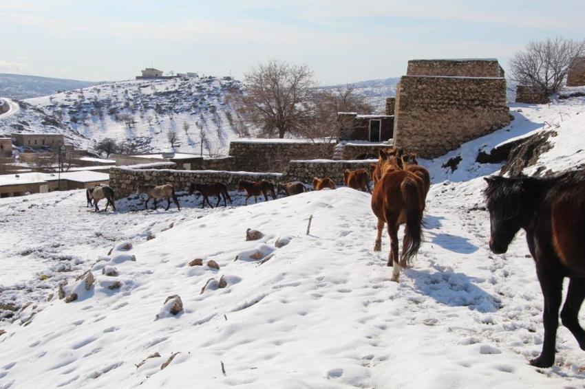 Almanya, Belçika ve Hollanda'dan bu köye yerleşiyorlar! Mağaralarla dolu, gizemine devlet el attı