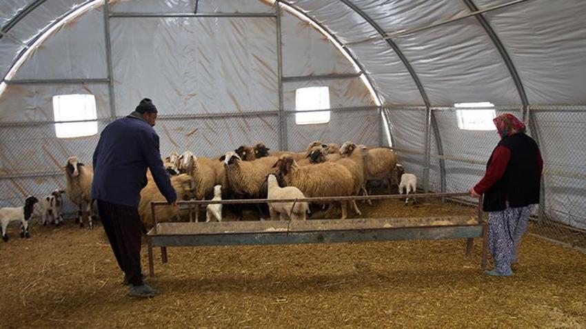 6 Şubat depreminde hayvanlarını kaybeden vatandaşa devletten büyük destek