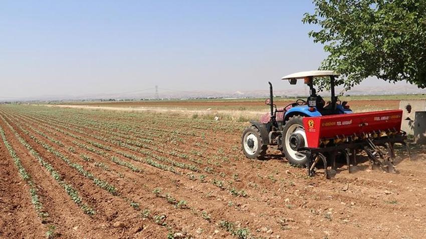 Hasat bitti, budama ve gübreleme başladı: Fiyatlar 700 TL’den başlıyor