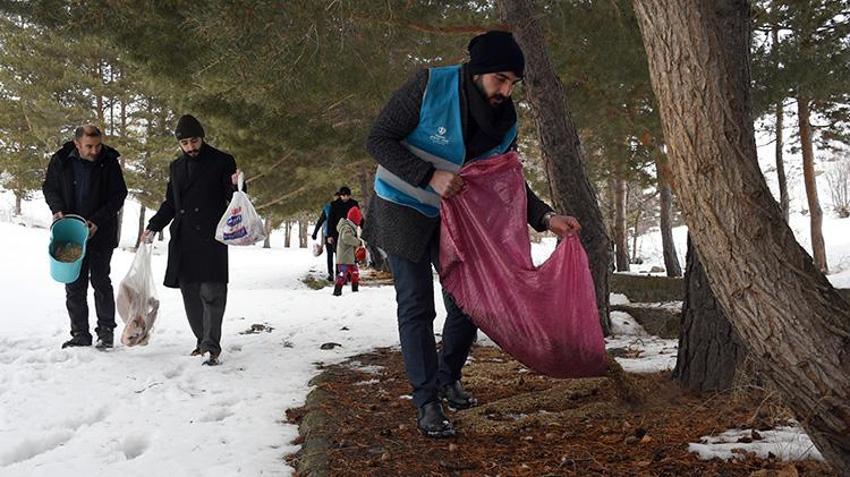 Sarıkamışlı imamlar karda yaban hayatı için seferber oldu! Cübbelerini çıkarıp, bozayı ve kurtlar için dağlara çuvalla yem taşıdılar