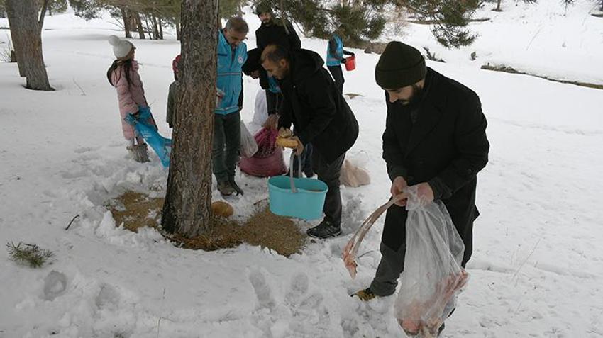 Sarıkamışlı imamlar karda yaban hayatı için seferber oldu! Cübbelerini çıkarıp, bozayı ve kurtlar için dağlara çuvalla yem taşıdılar