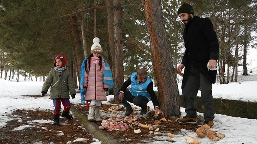 Sarıkamışlı imamlar karda yaban hayatı için seferber oldu! Cübbelerini çıkarıp, bozayı ve kurtlar için dağlara çuvalla yem taşıdılar