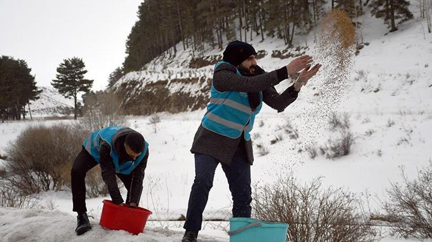 Sarıkamışlı imamlar karda yaban hayatı için seferber oldu! Cübbelerini çıkarıp, bozayı ve kurtlar için dağlara çuvalla yem taşıdılar