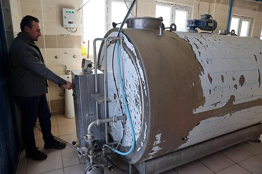 Nevşehir'in köyüne kurdu! 20 tane ile başladı, şimdi 160 tane var, günde tonlarca üretiyor