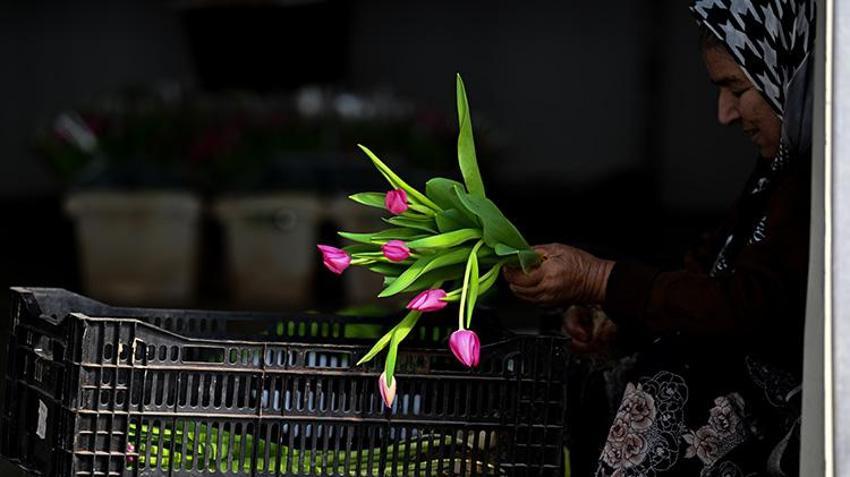 Sadece suyla rengarenk üretiliyor! Piyasayı altüst etti: Taleplere yetişemiyorlar