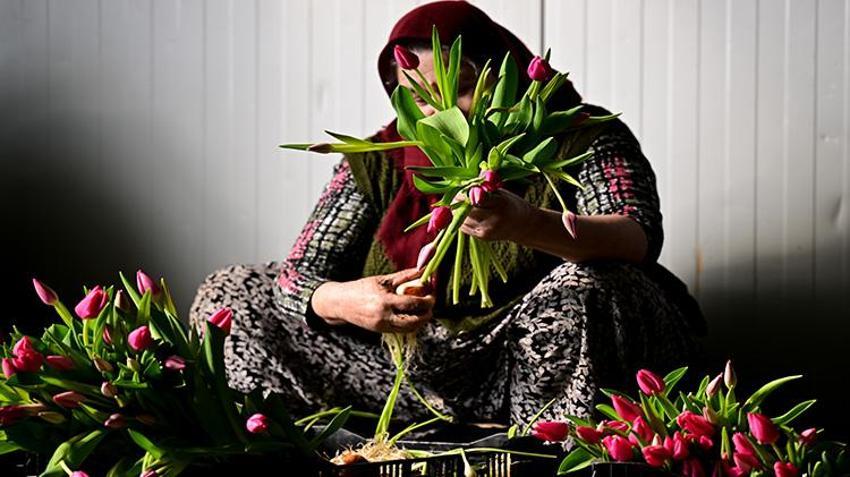 Sadece suyla rengarenk üretiliyor! Piyasayı altüst etti: Taleplere yetişemiyorlar