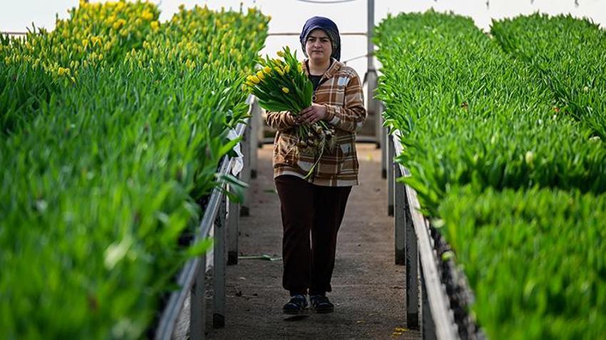 Sadece suyla rengarenk üretiliyor! Piyasayı altüst etti: Taleplere yetişemiyorlar