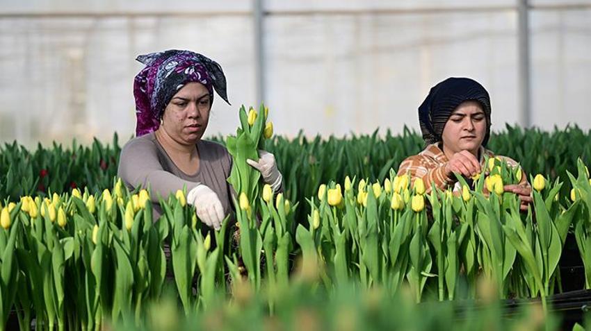 Sadece suyla rengarenk üretiliyor! Piyasayı altüst etti: Taleplere yetişemiyorlar
