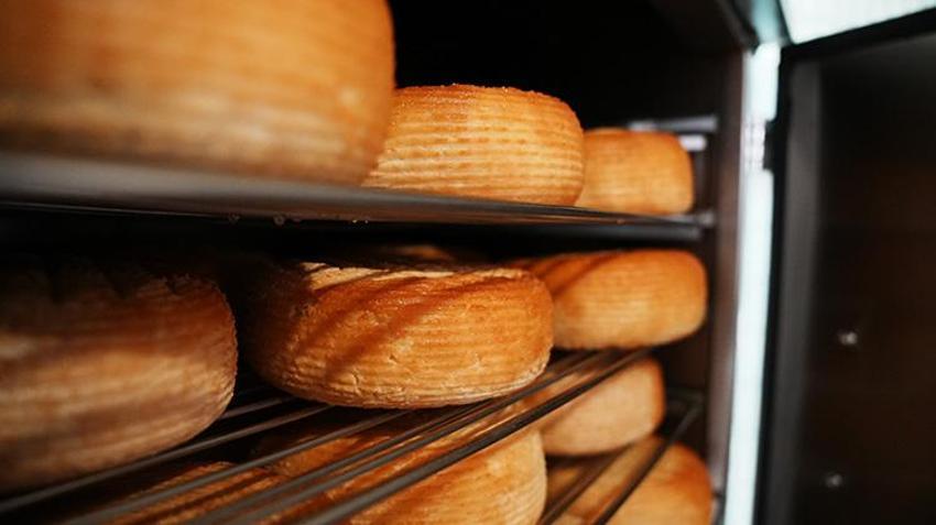 Bigalı kadınlar 13 çeşitten üretti! Yılda 110 ton kullanıyorlar, Belçika'ya ihraç ediyorlar