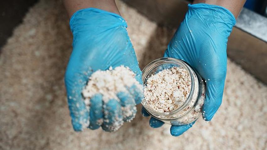 Bigalı kadınlar 13 çeşitten üretti! Yılda 110 ton kullanıyorlar, Belçika'ya ihraç ediyorlar