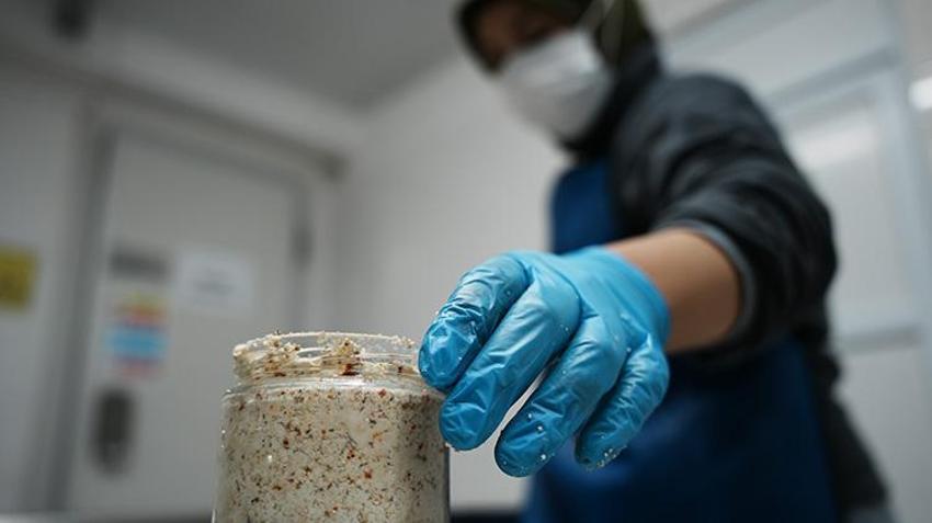 Bigalı kadınlar 13 çeşitten üretti! Yılda 110 ton kullanıyorlar, Belçika'ya ihraç ediyorlar