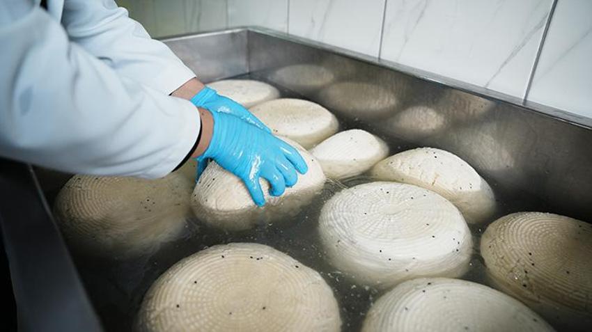 Bigalı kadınlar 13 çeşitten üretti! Yılda 110 ton kullanıyorlar, Belçika'ya ihraç ediyorlar