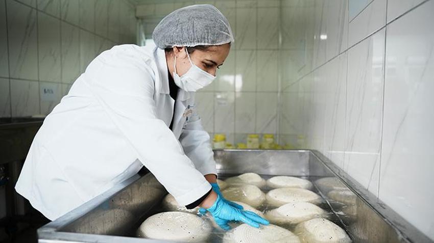 Bigalı kadınlar 13 çeşitten üretti! Yılda 110 ton kullanıyorlar, Belçika'ya ihraç ediyorlar