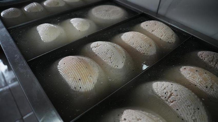 Bigalı kadınlar 13 çeşitten üretti! Yılda 110 ton kullanıyorlar, Belçika'ya ihraç ediyorlar