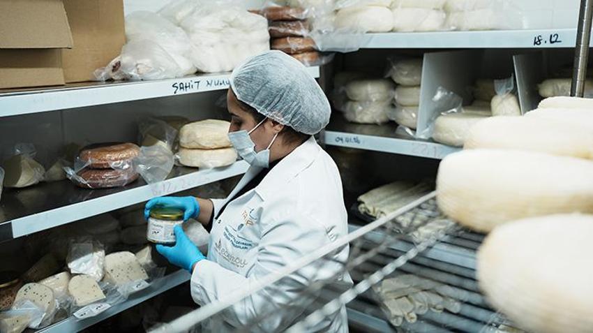 Bigalı kadınlar 13 çeşitten üretti! Yılda 110 ton kullanıyorlar, Belçika'ya ihraç ediyorlar