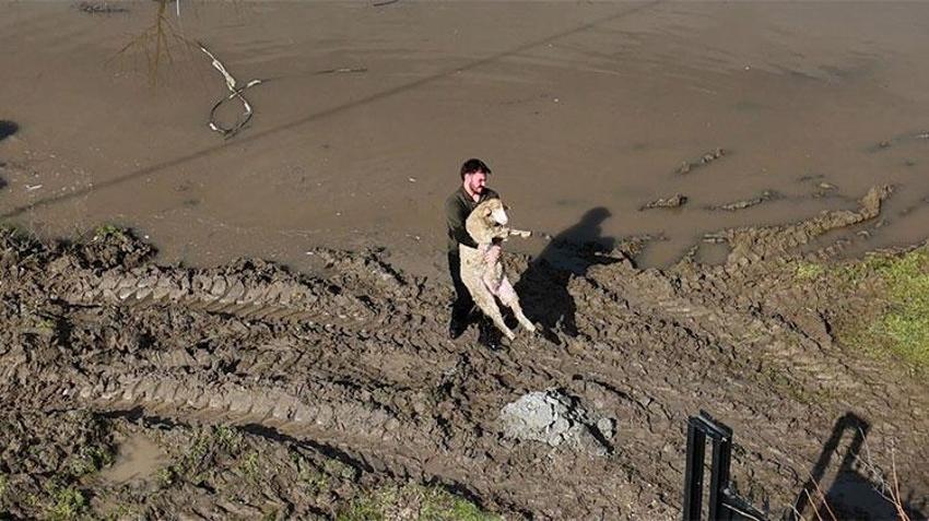 Edirne'de alarm! Meriç Nehri taştı, AFAD seferber oldu! Çiftçi zamanla yarıştı