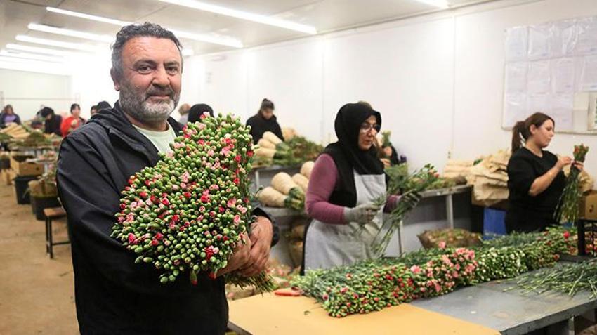 14 Şubat Sevgililer Günü Antalya'ya yaradı! Avrupa'ya 75 milyon dal satıldı