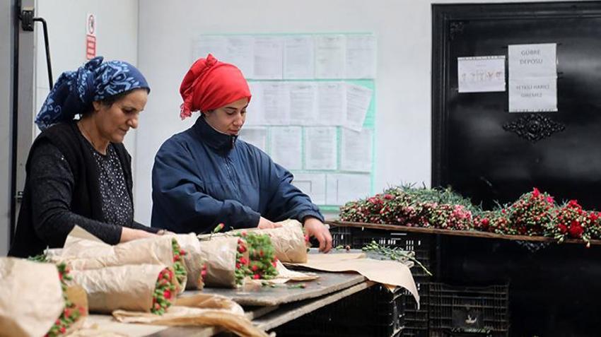 14 Şubat Sevgililer Günü Antalya'ya yaradı! Avrupa'ya 75 milyon dal satıldı