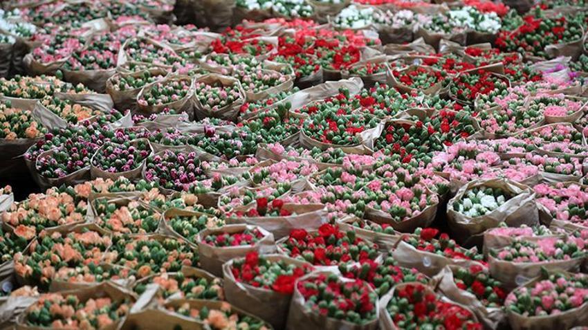 14 Şubat Sevgililer Günü Antalya'ya yaradı! Avrupa'ya 75 milyon dal satıldı