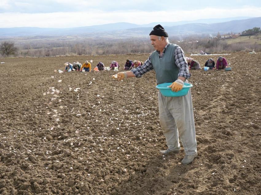 Kastamonulu annenin fedakarlık dolu yolculuğu: Çocukları için İstanbul'u bırakıp köyünde döndü