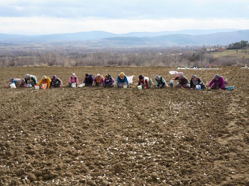 Kastamonulu annenin fedakarlık dolu yolculuğu: Çocukları için İstanbul'u bırakıp köyünde döndü