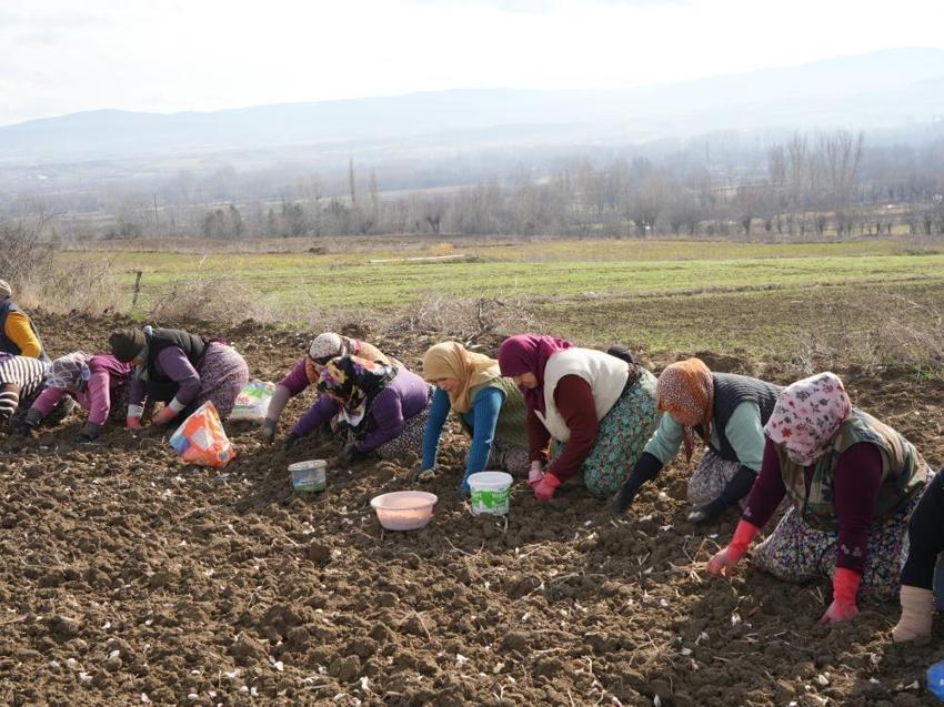 Kastamonulu annenin fedakarlık dolu yolculuğu: Çocukları için İstanbul'u bırakıp köyünde döndü