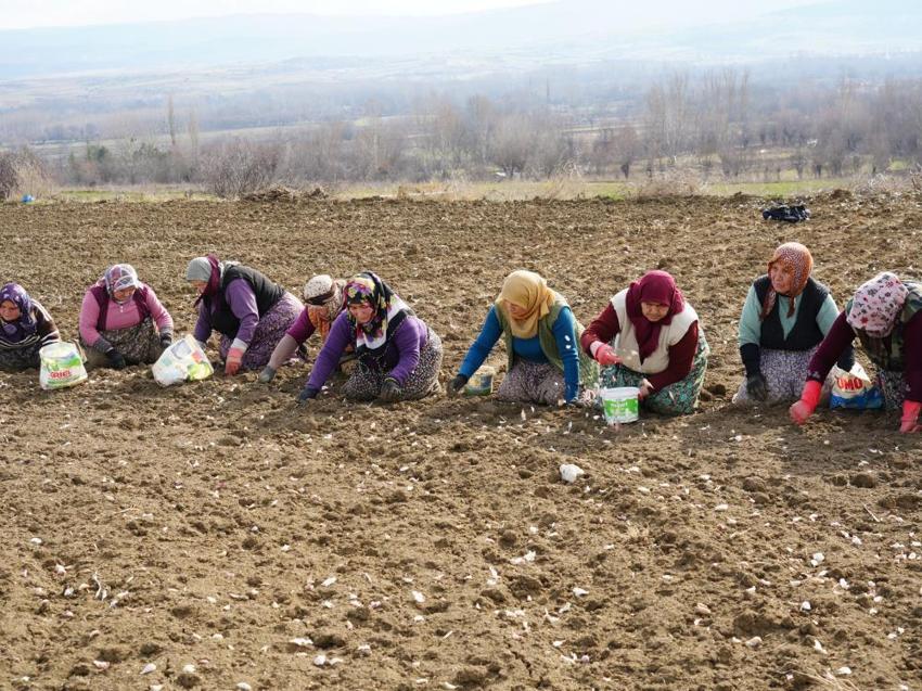Kastamonulu annenin fedakarlık dolu yolculuğu: Çocukları için İstanbul'u bırakıp köyünde döndü