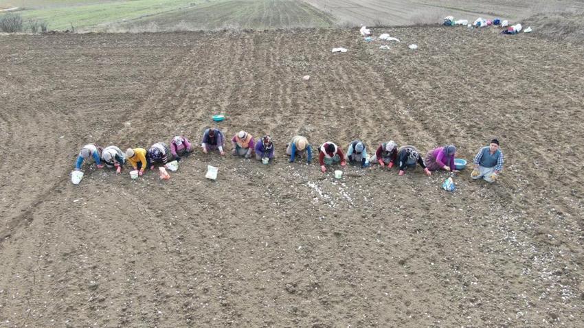 Kastamonulu annenin fedakarlık dolu yolculuğu: Çocukları için İstanbul'u bırakıp köyünde döndü