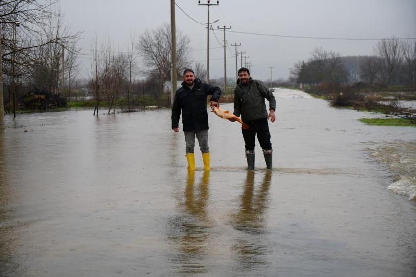 Edirne'de Meriç Nehri taştı! Vatandaş tarladan sazan topladı