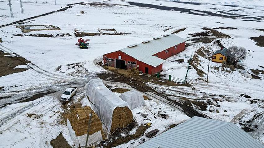 Erzurumlu vatandaş hayvancılığı bırakmaya niyetlendi! Devletten aldığı büyük destekle vazgeçti