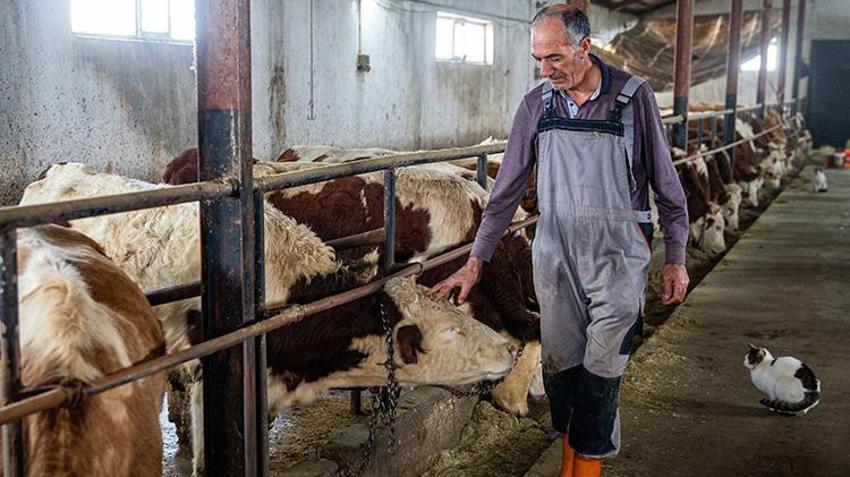 Erzurumlu vatandaş hayvancılığı bırakmaya niyetlendi! Devletten aldığı büyük destekle vazgeçti