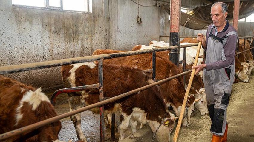 Erzurumlu vatandaş hayvancılığı bırakmaya niyetlendi! Devletten aldığı büyük destekle vazgeçti