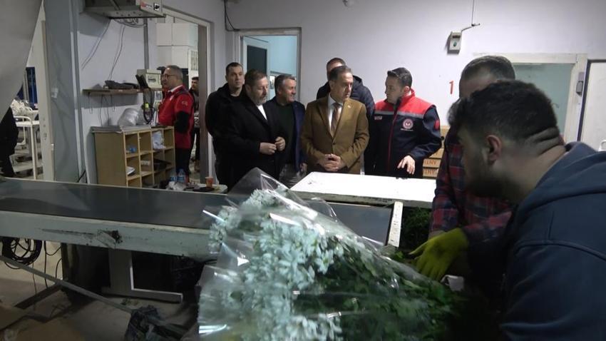 Sevgililer Günü öncesi çiçek mezatlarında yoğunluk! Satışlar 8 kat arttı