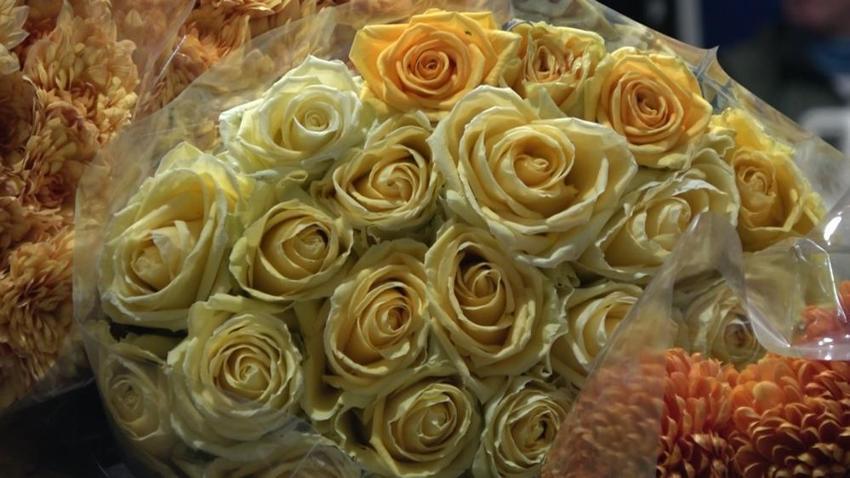 Sevgililer Günü öncesi çiçek mezatlarında yoğunluk! Satışlar 8 kat arttı