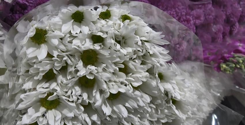 Sevgililer Günü öncesi çiçek mezatlarında yoğunluk! Satışlar 8 kat arttı