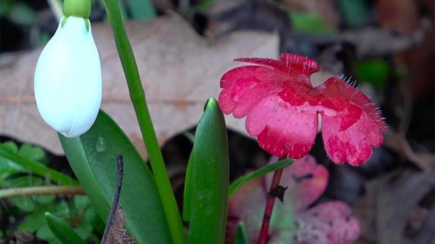 Bu topraklar servet saklıyor! Anadolu’nun gizli hazinesi ortaya çıktı
