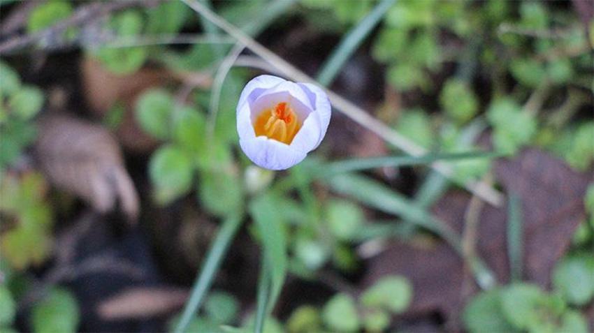 Bu topraklar servet saklıyor! Anadolu’nun gizli hazinesi ortaya çıktı