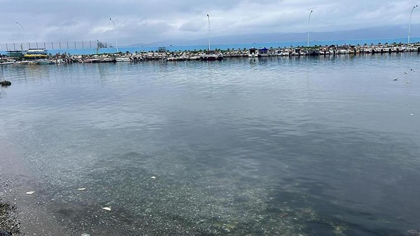 Bursa'da 5 yaşındaki oğlunu denize iten kadının kan donduran ifadesi ortaya çıktı: 'Muhammet ölmek istiyordu'