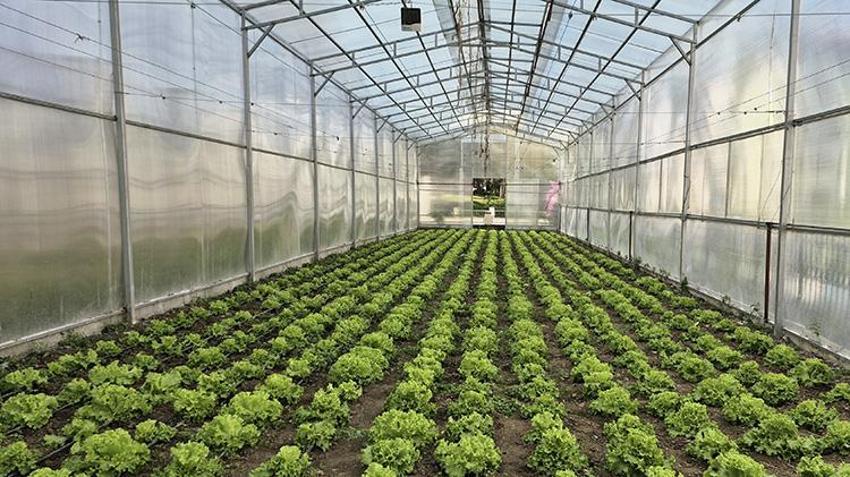 Geleceğin mühendisleri burada yetişiyor: Robot yapıyorlar, mantar üretiyorlar, güneşten elektrik alıyorlar