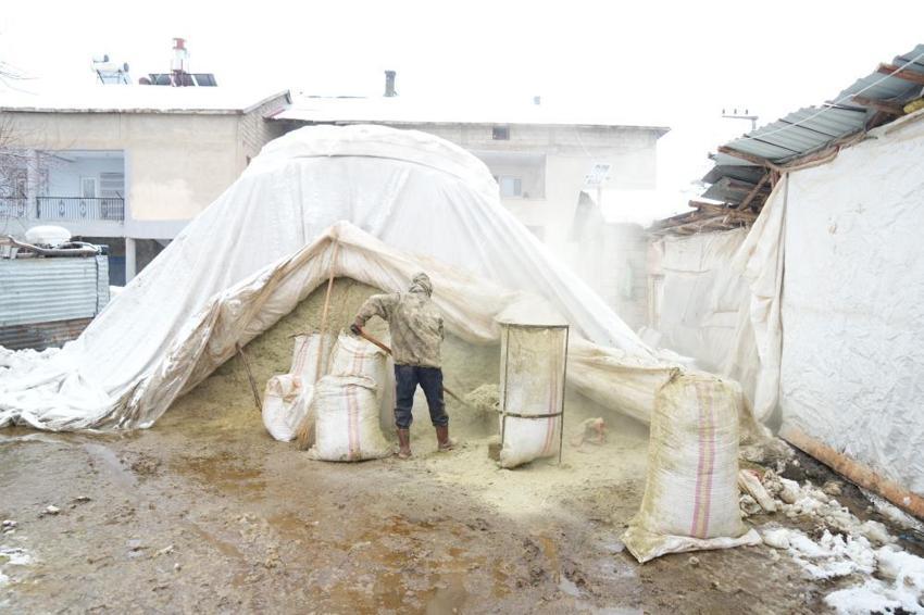 Muş'ta devlet desteğiyle hayvan sayısında rekor artış: Gençler batıya değil, kendi köylerinde hayvancılığa döndü