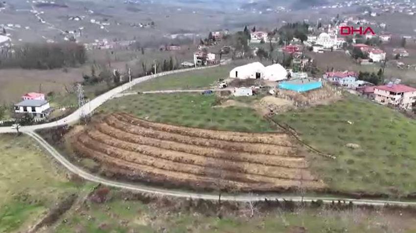 Fındıkta verimi 4 katına çıkaran yöntem Ordu'da denendi: Dekar başına 350 kilo fındık alınacak