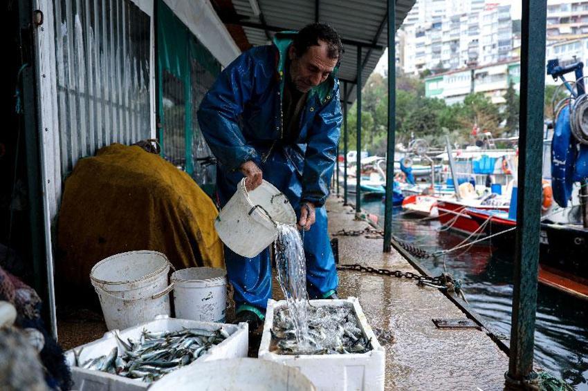 Bursa Büyükşehir Belediyesi’nden balıkçılara destek: Balık sizden, mazot bizden