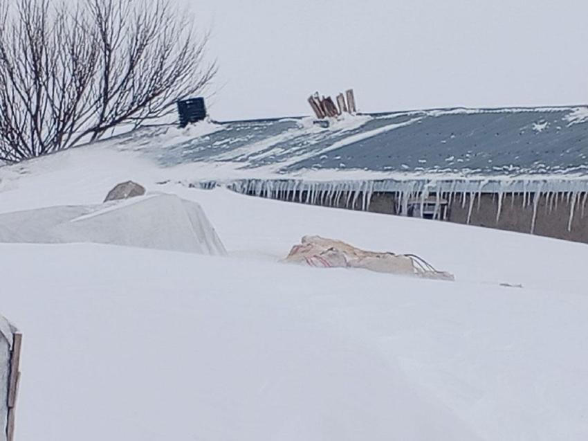 Ağrı Taşlıçay'da evler kar kütlelerinin arasında adeta kayboldu