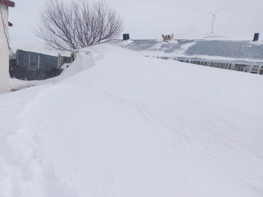 Ağrı Taşlıçay'da evler kar kütlelerinin arasında adeta kayboldu