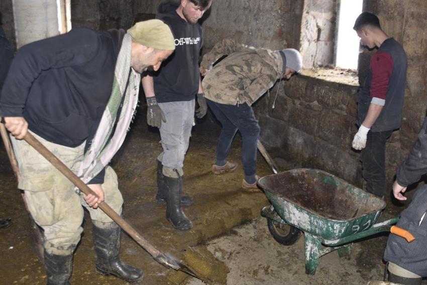 Bitlis'te gelecek kışın hazırlığı şimdiden başladı! İmece usulü ağıllardan çıkarıp istifliyorlar
